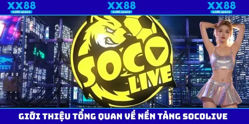 Tổng quan một vài thông tin về trang web Socolive